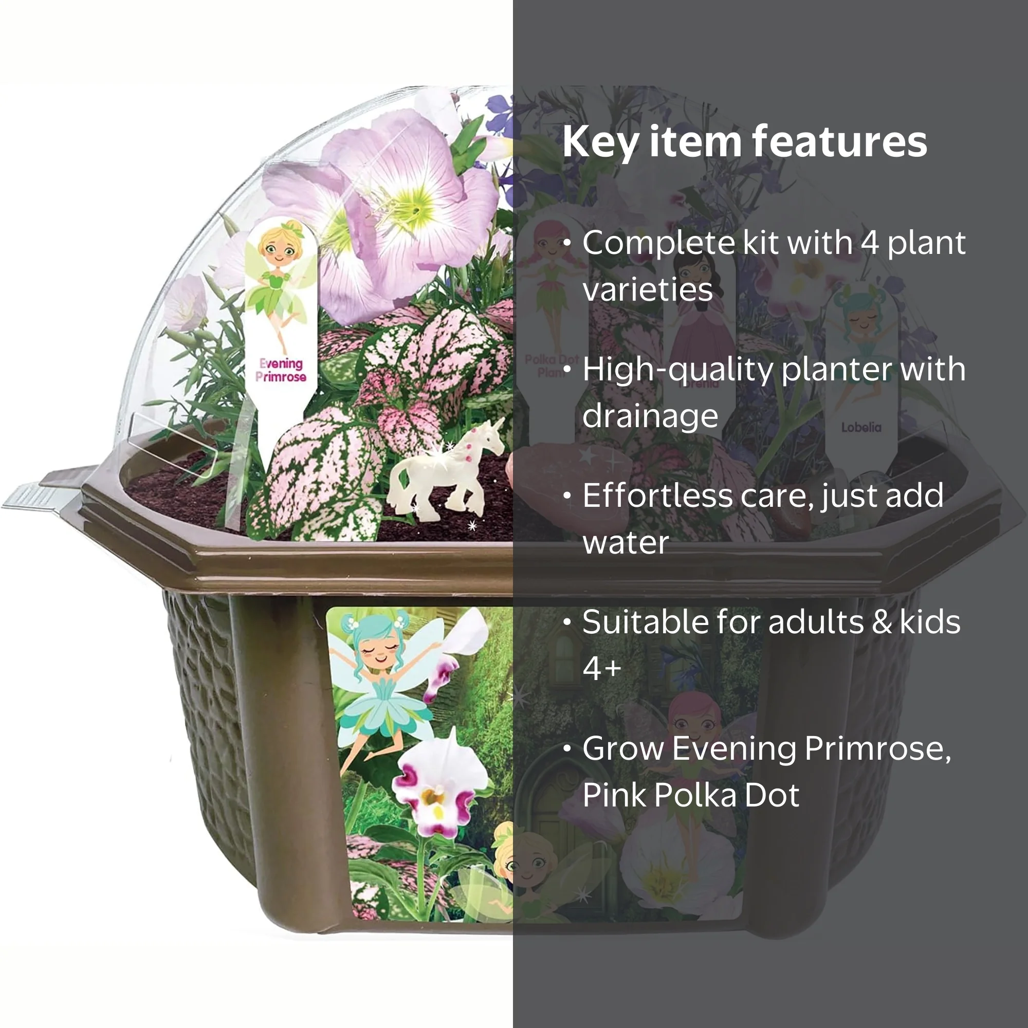 Toys By Nature, Fairy Garden DIY Kit, Enchanting Terrarium