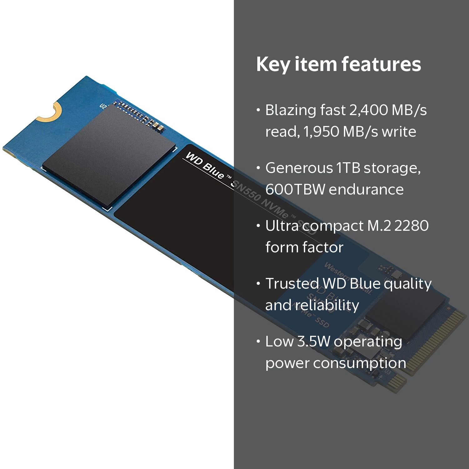 WD BLUE SN550 WDS100T2B0C 1TB Solid State Drive M.2 2280 Internal