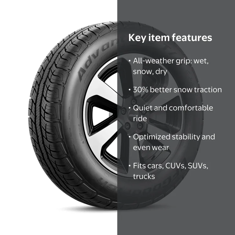 BFグッドリッチ Advantage オールシーズン 225/55Ｒ19 2本 BFグッドリッチ Advantage オールシーズン 225/55R19 2本 BFGoodrich