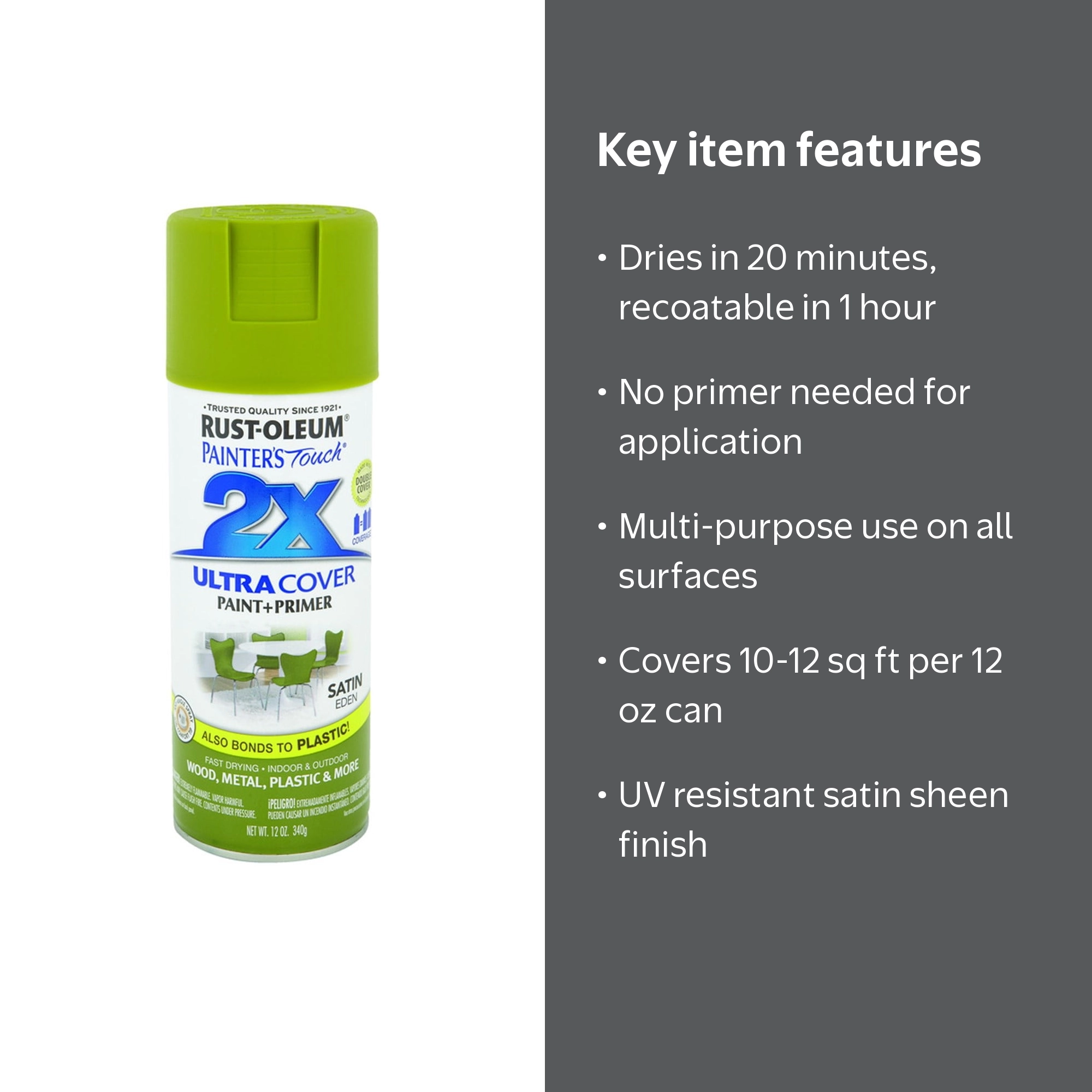 SPRYPNT 2X SAT EDEN - Walmart.com