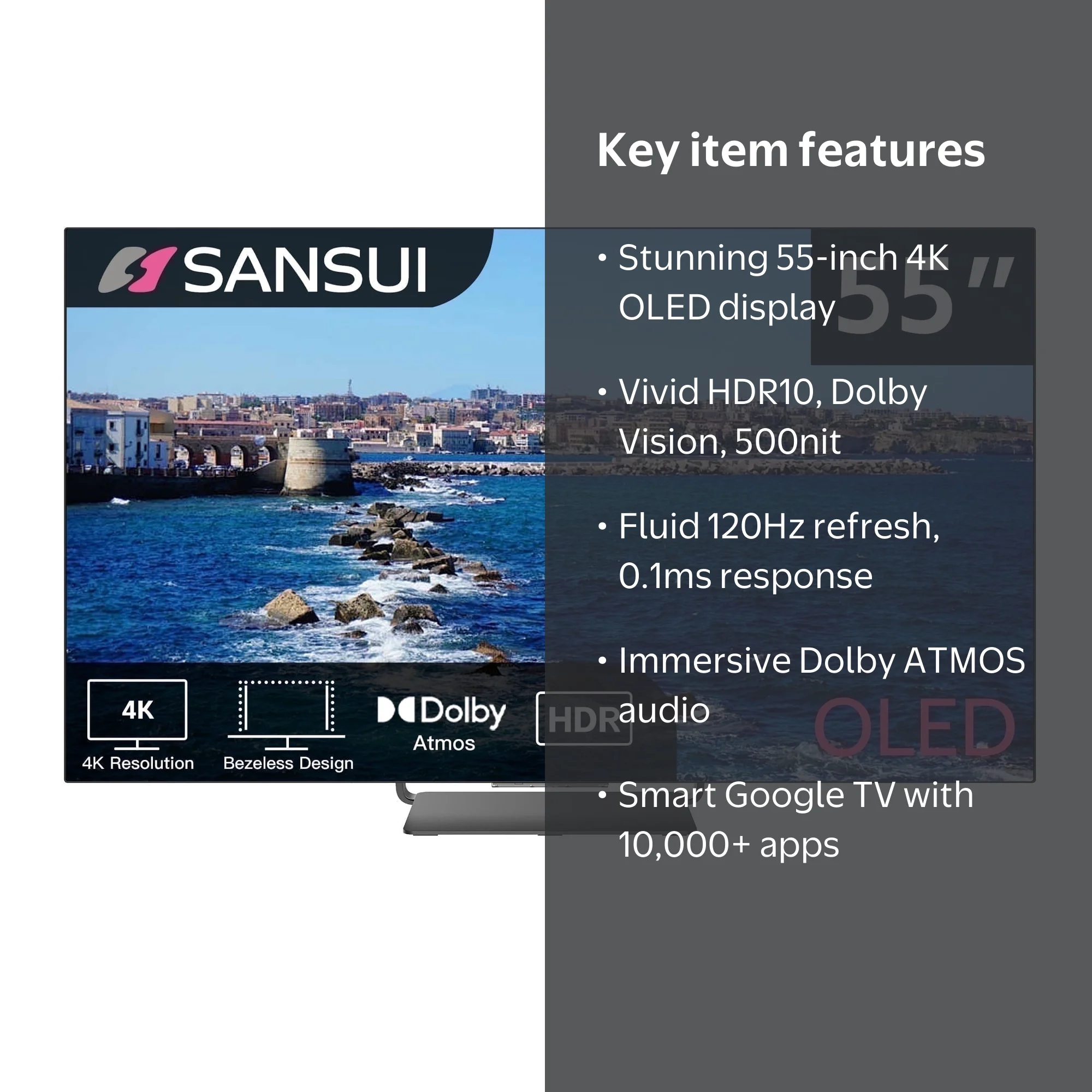 Sansui 55