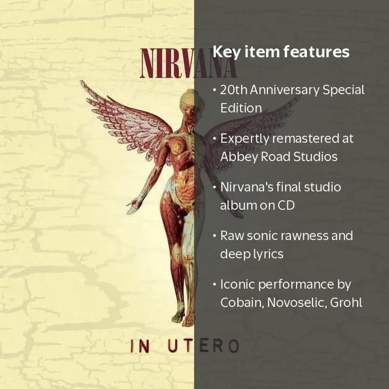 Nirvana - In Utero (20th Anniversary Edition) - Music
