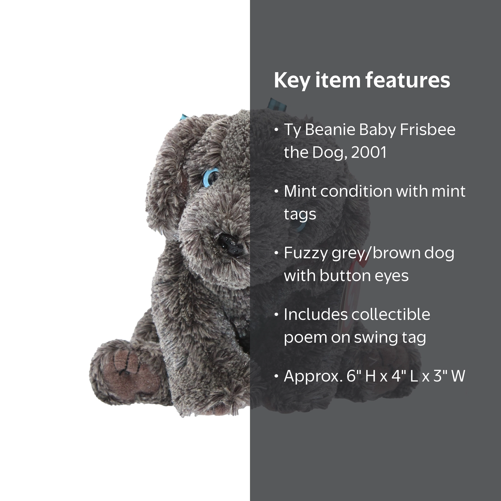 Beaniebaby　ジュエルオーキッド２株セット(2118,022) k2-_781a5d1a-a265-4562-b040-