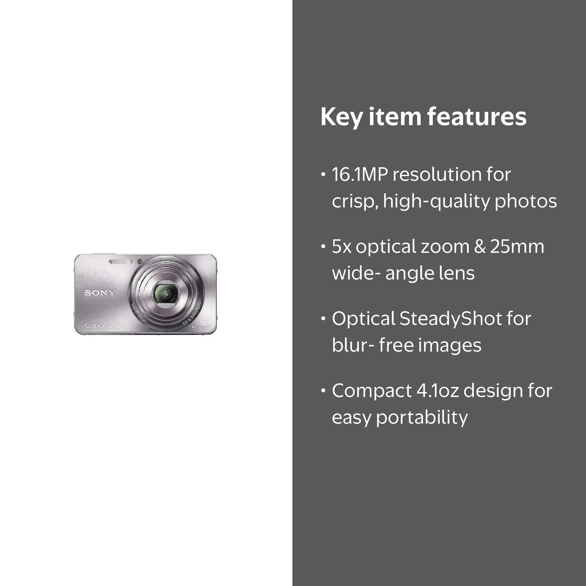 Sony Silver Cyber-Shot DSC-W570 Compact Camera with 16 MegaPixels