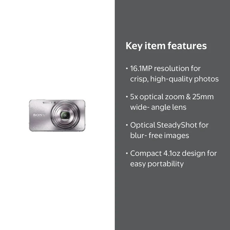 Sony Silver Cyber-Shot DSC-W570 Compact Camera with 16 MegaPixels