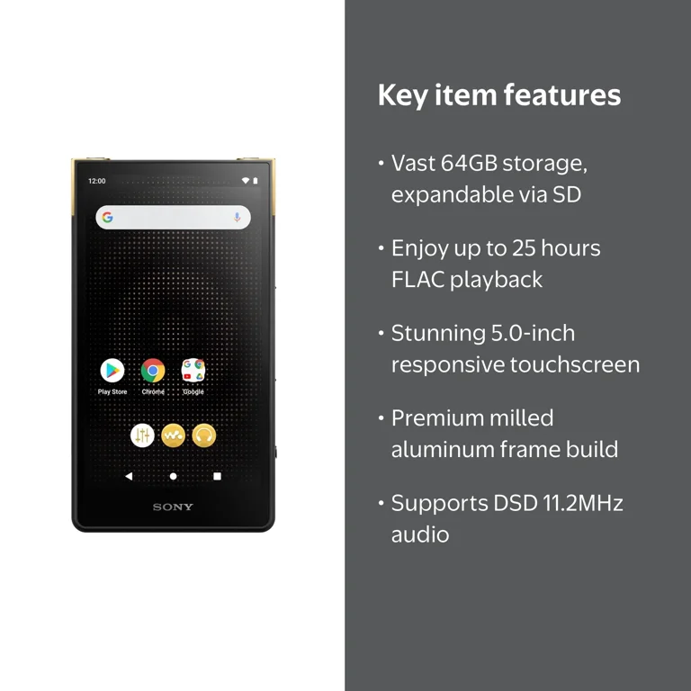 Sony, Walkman Bluetooth MP3/DVD Player, NW-ZX707, 64GB - Walmart.com
