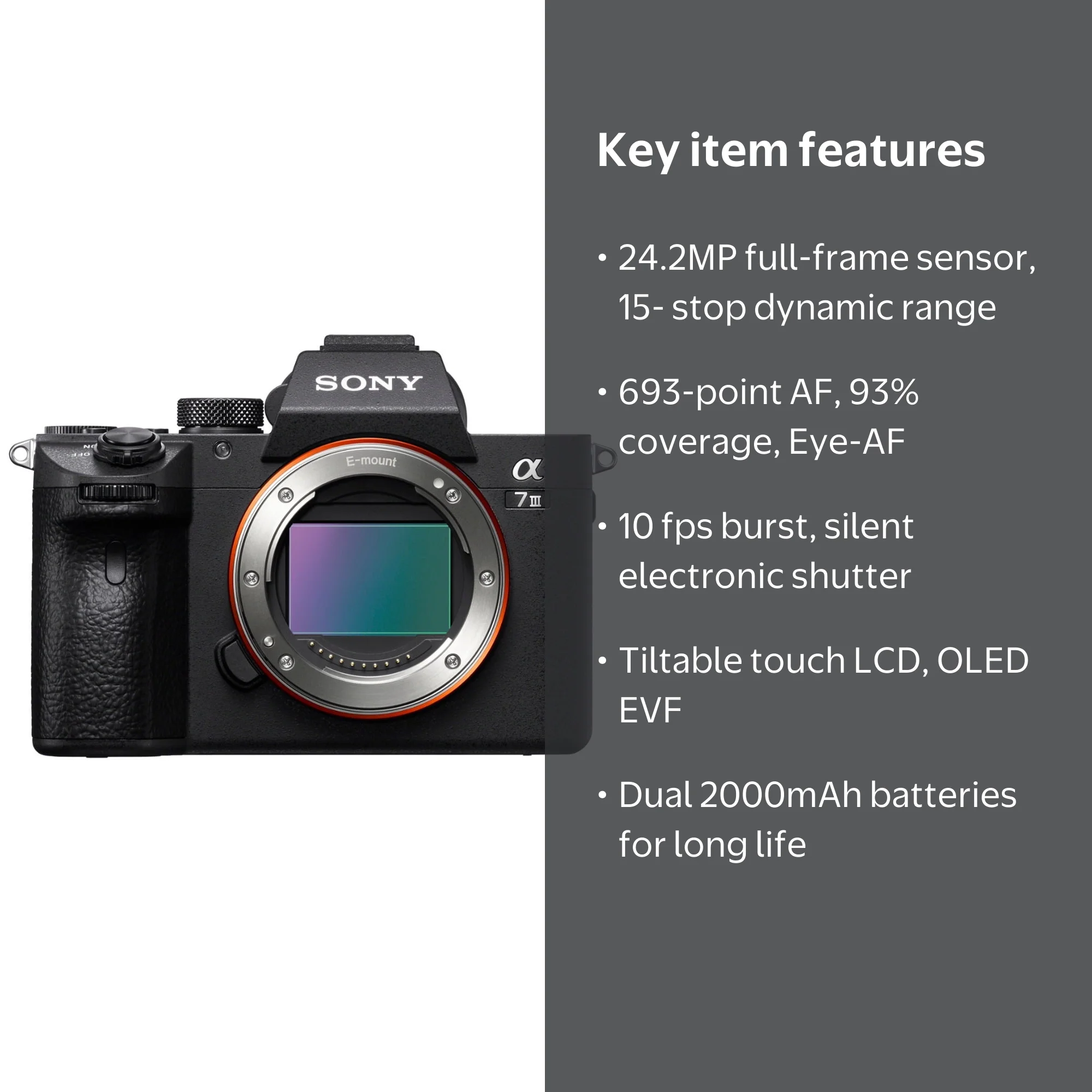 Sony Alpha a7 III Professional Full Frame Mirrorless Camera with