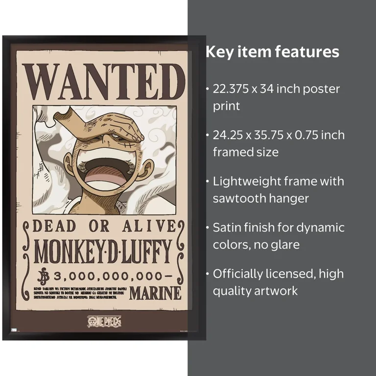 One Piece - Monkey D Luffy Wanted Poster Wall Poster, 22.375