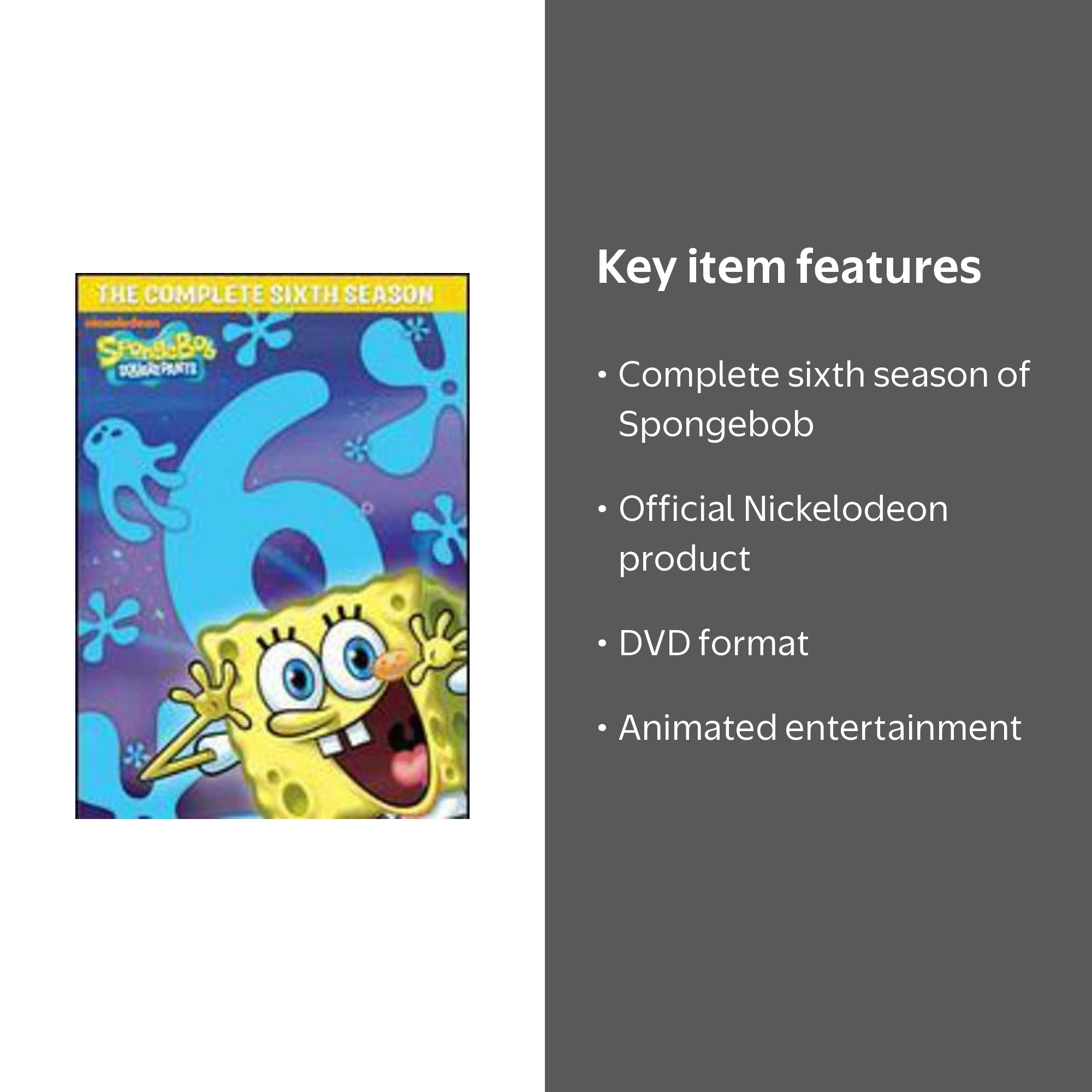 Spongebob Squarepants: The Complete Sixth Season (DVD