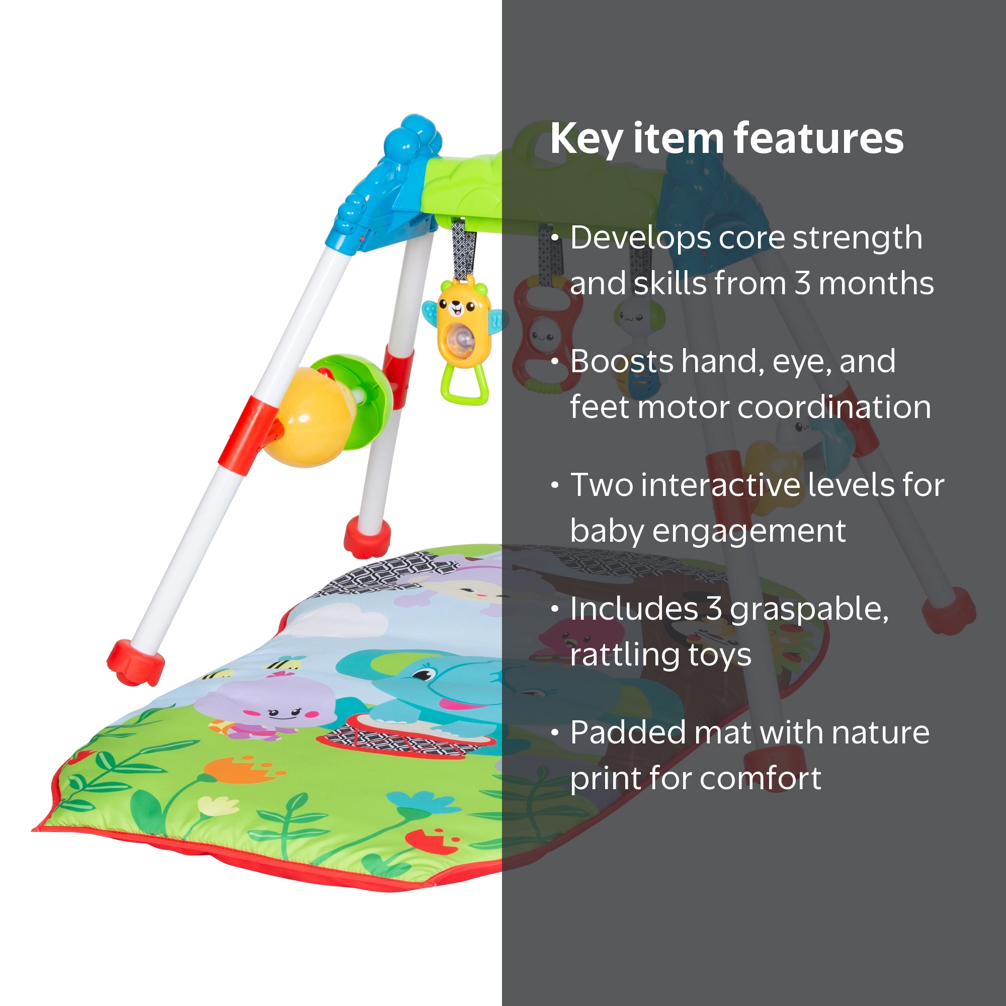Smart Steps Jammin Gym Interactive with Play Mat for Babies, 5