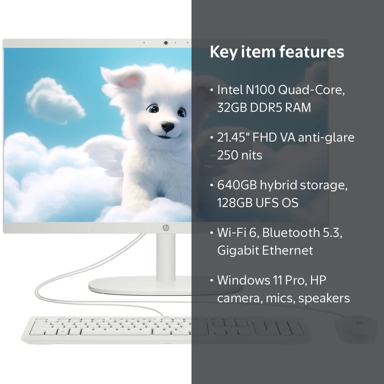 HP 22 Inch All-in-One Desktop FHD Display Computer Intel Quad Core