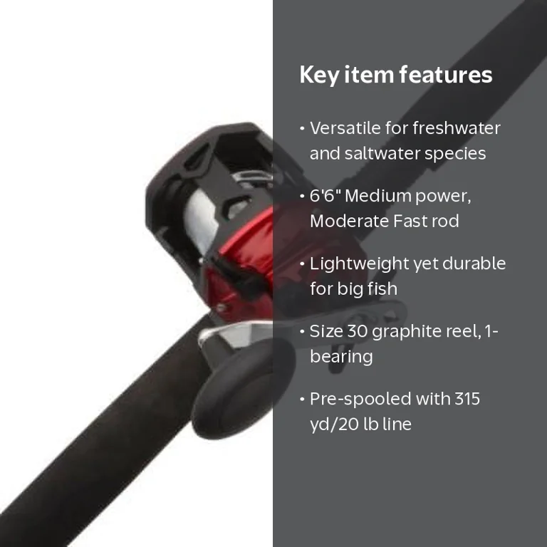 Berkley Big Game™ Conventional Combo, 6'6