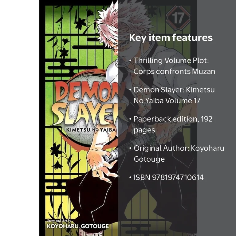 Koyoharu Gotouge, Demon Slayer Kimetsu No Yaiba, Vol. 17