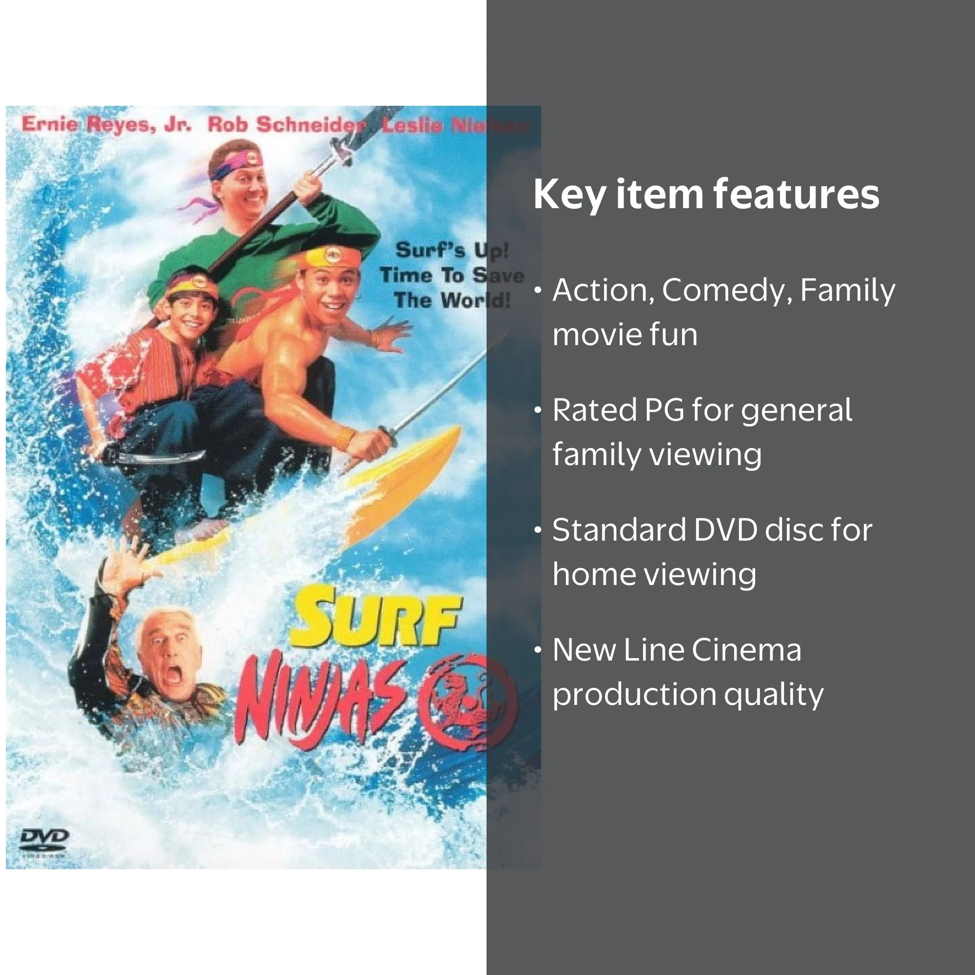 SDS Surf Ninjas DVD Family Action Comedy with Brothers Johnny and
