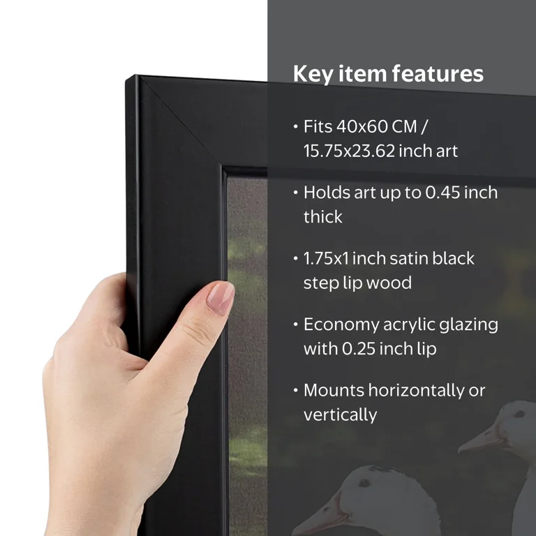 ArtToFrames 40x60 CM / 15.75x23.62 INCH Black Picture Frame, This