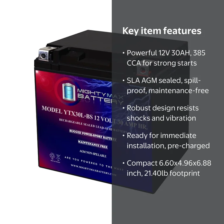 YTX30L-BS 12V 30AH Rechargeable, Maintenance-Free Battery Replaces