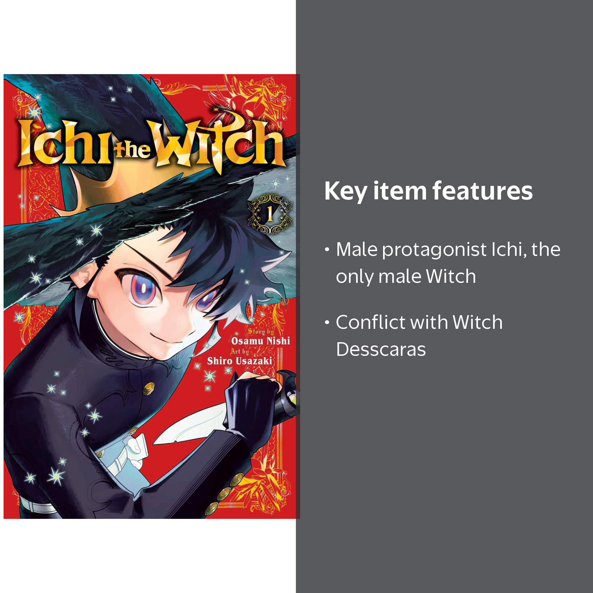 Ichi the Witch, Vol. 1 (Paperback) - Walmart.com