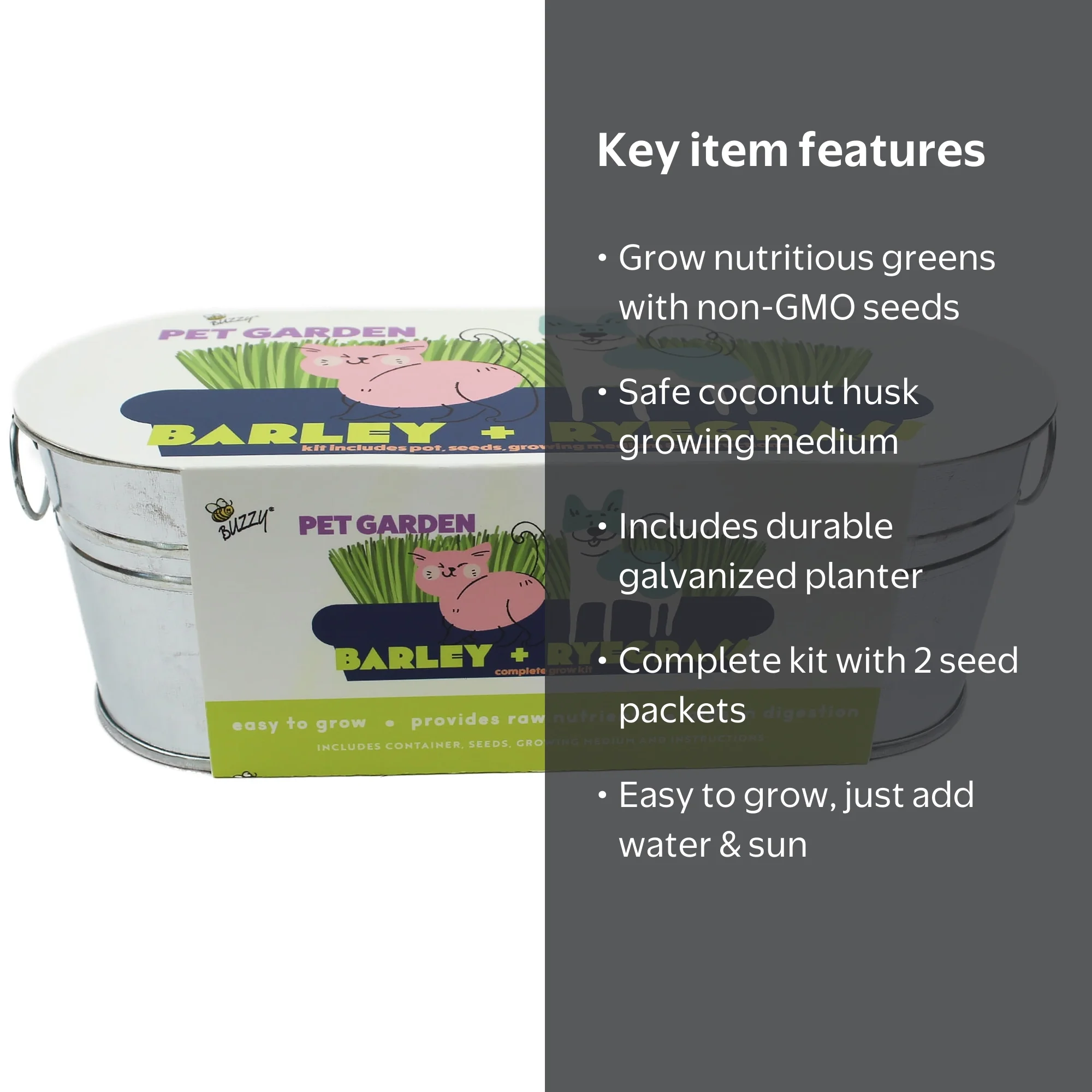Buzzy Seeds - Barley and Ryegrass Pet Garden Windowsill Grow Kit