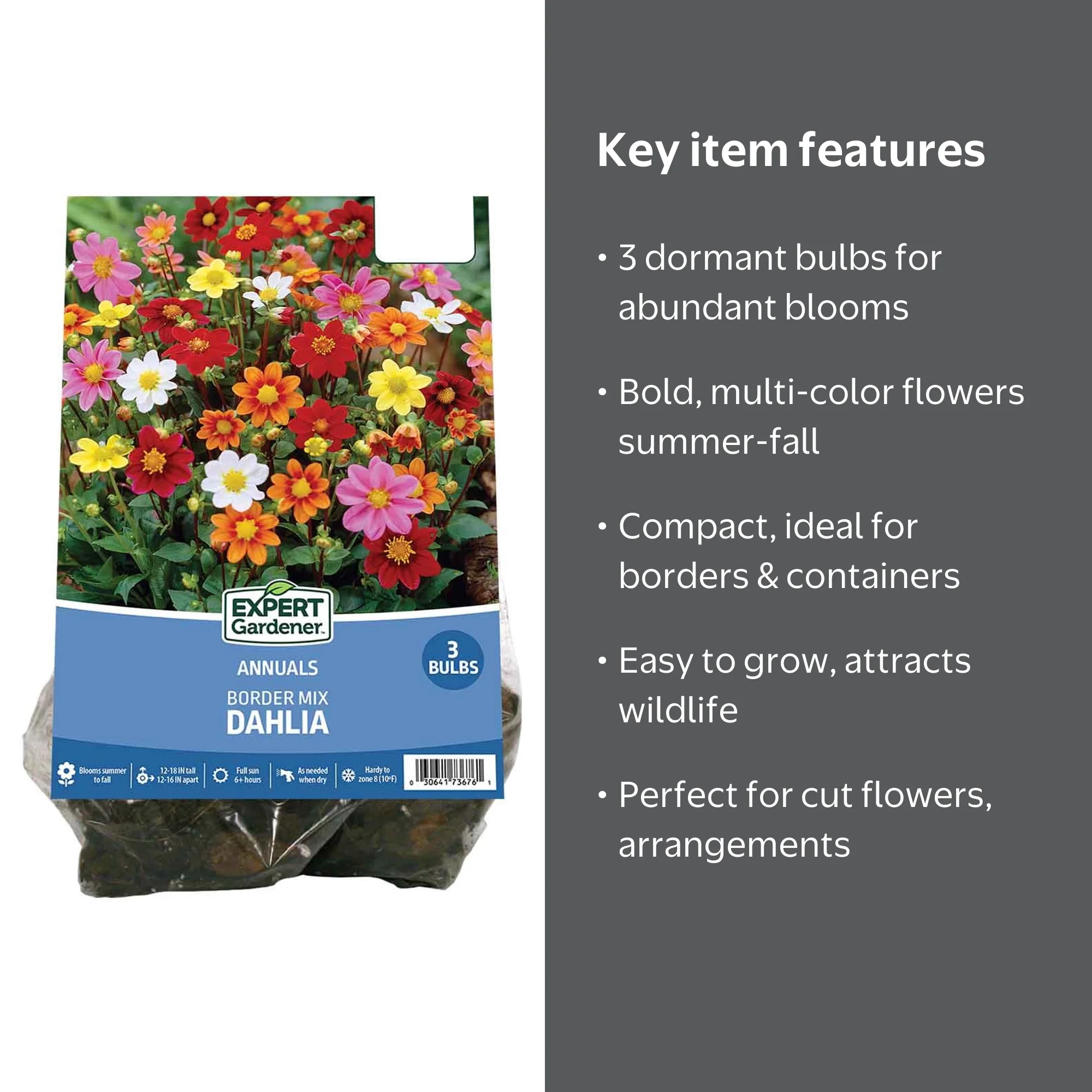 Van Zyverden Full Sun Dahlia Border Mix, Multi-Color Flowering Cut
