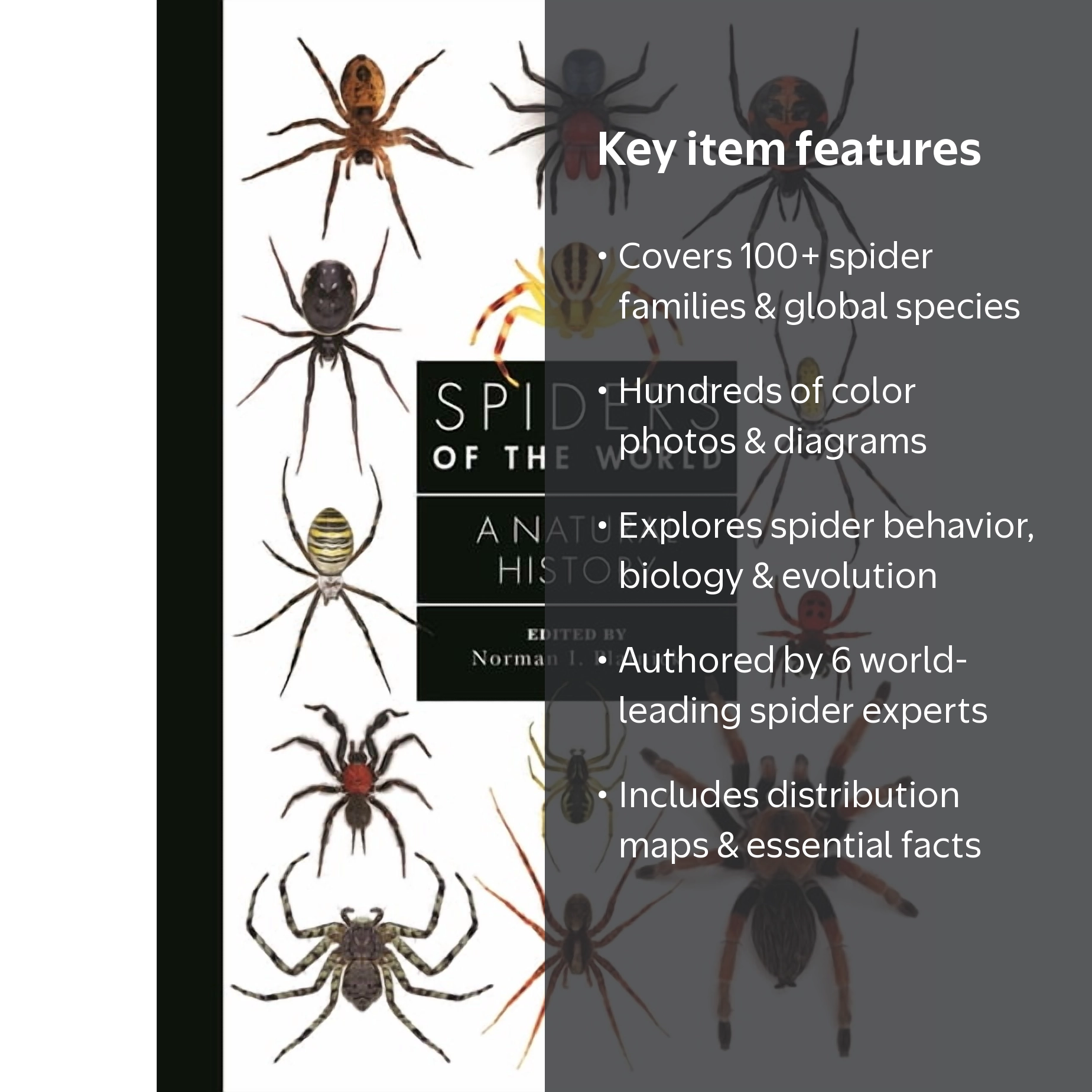 Guide to Every Family Spiders of the World: A Natural History