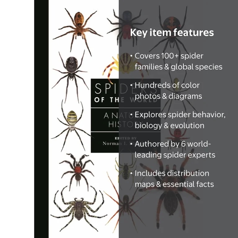 Guide to Every Family Spiders of the World: A Natural History