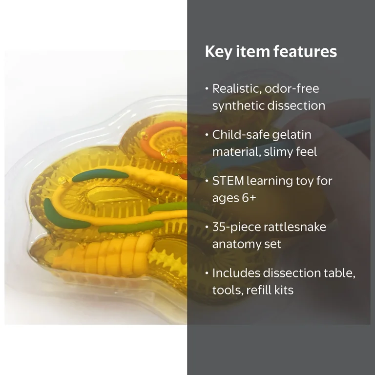 Dissect It Rattlesnake Superlab Dissection Kit for Kids, Realistic