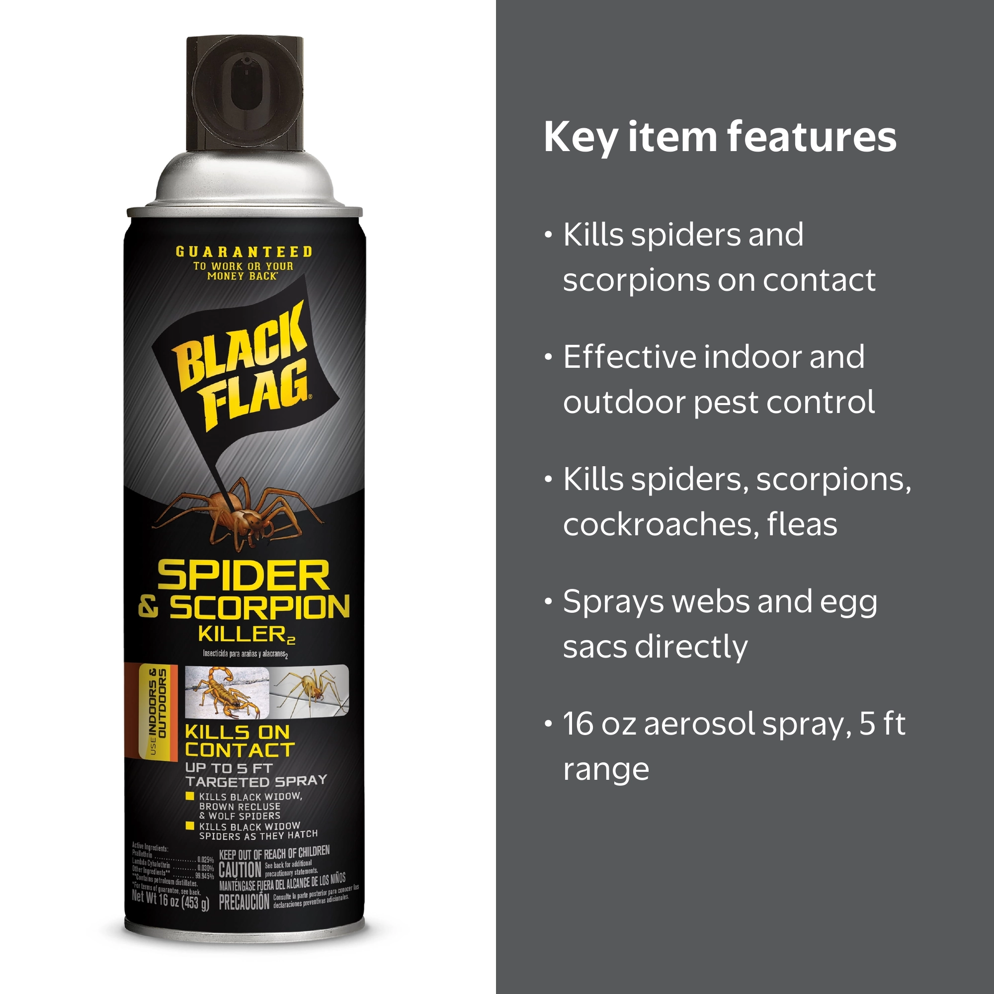 Black Flag Spider & Scorpion Killer 16 oz Aerosol Spray - Walmart.com