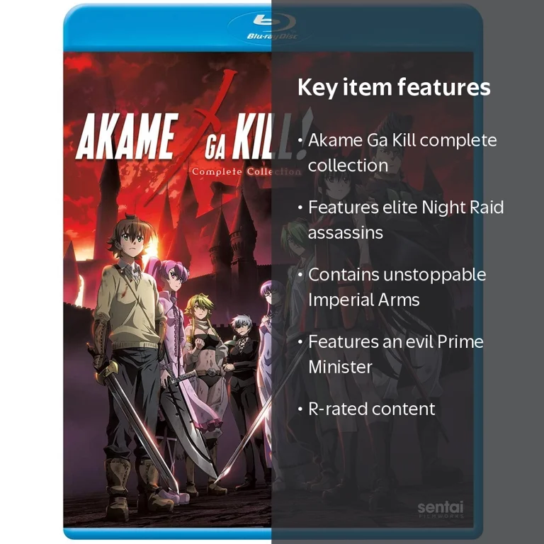 Akame Ga Kill: Complete Collection - Walmart.com