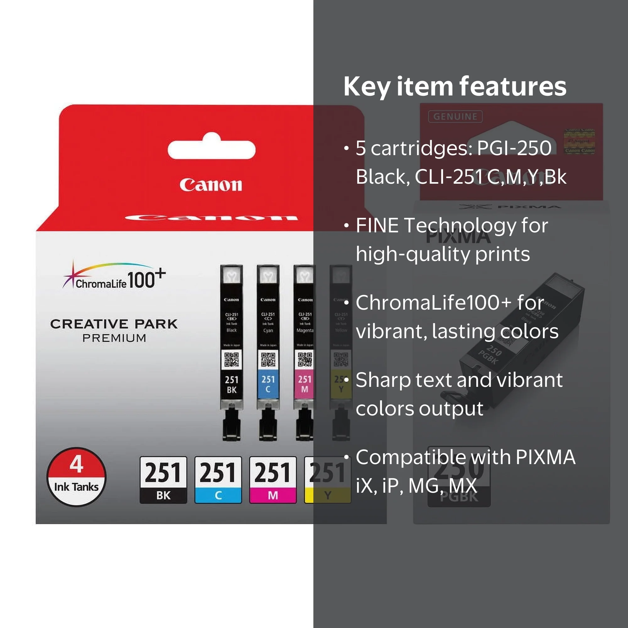 Canon Ink Printer Cartridges PGI-250 CLI-251 Black and Tri-Color 2