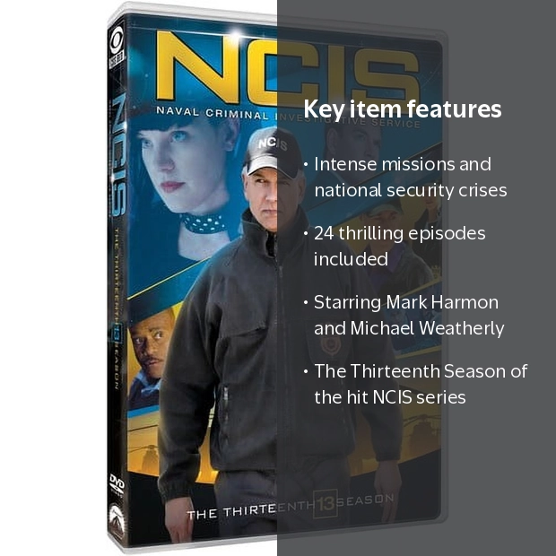 NCIS: Naval Criminal Investigative Service: The Thirteenth Season