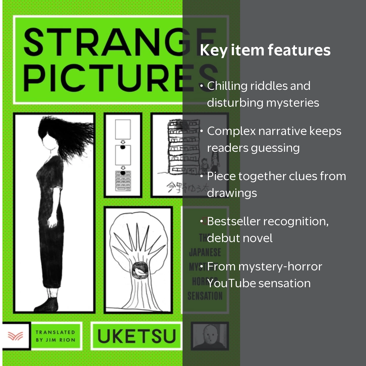 Strange Pictures: A Novel (Paperback) - Walmart.com