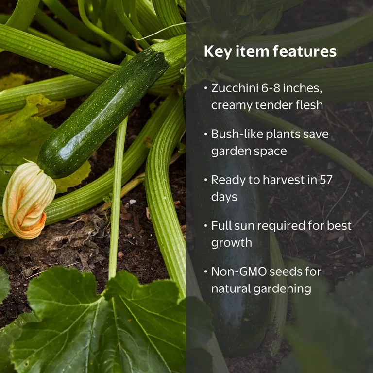 Burpee Fordhook Zucchini Summer Squash Seeds, Dark Green, 6-8