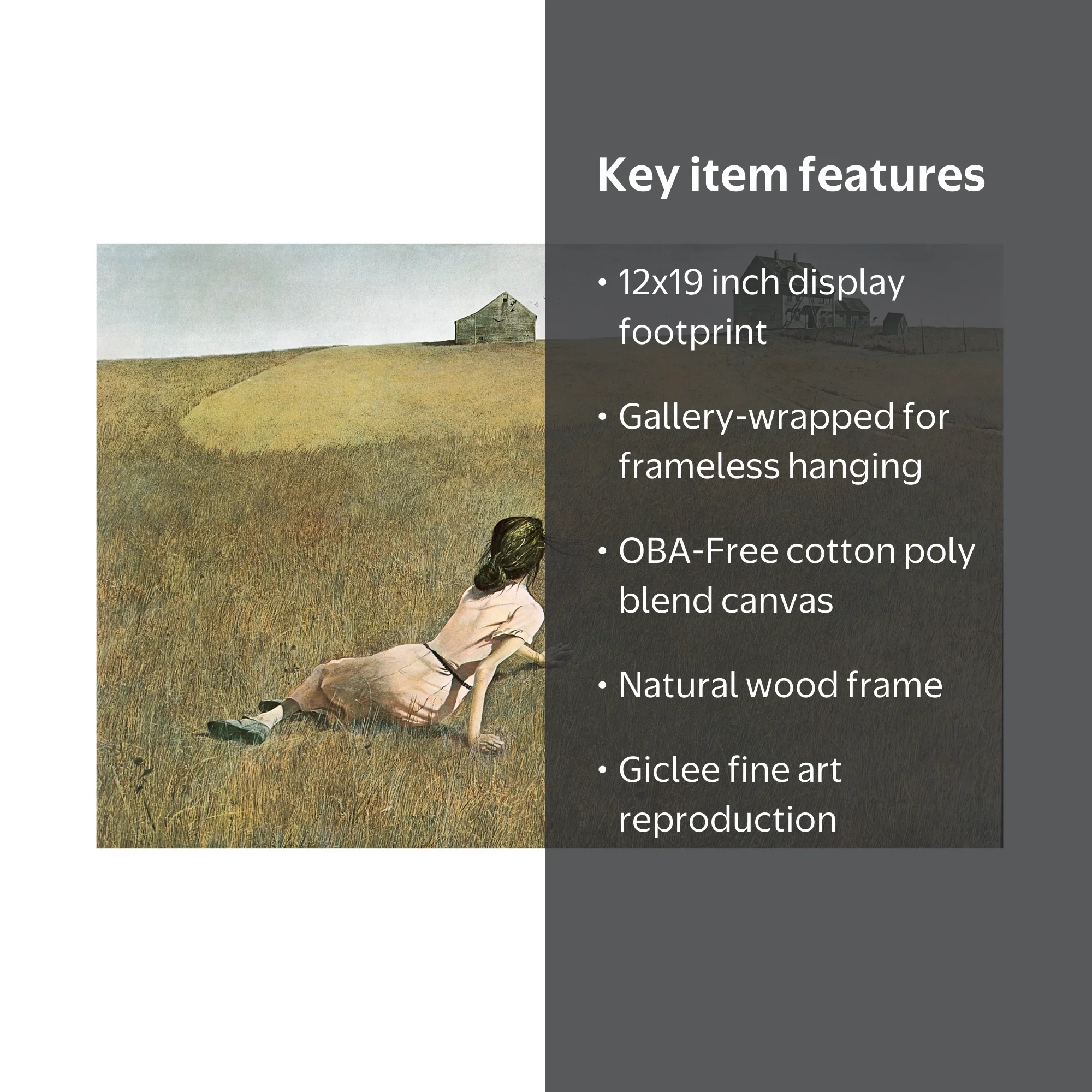 Trademark Fine Art Andrew Wyeth Christinas World Canvas Wall Art