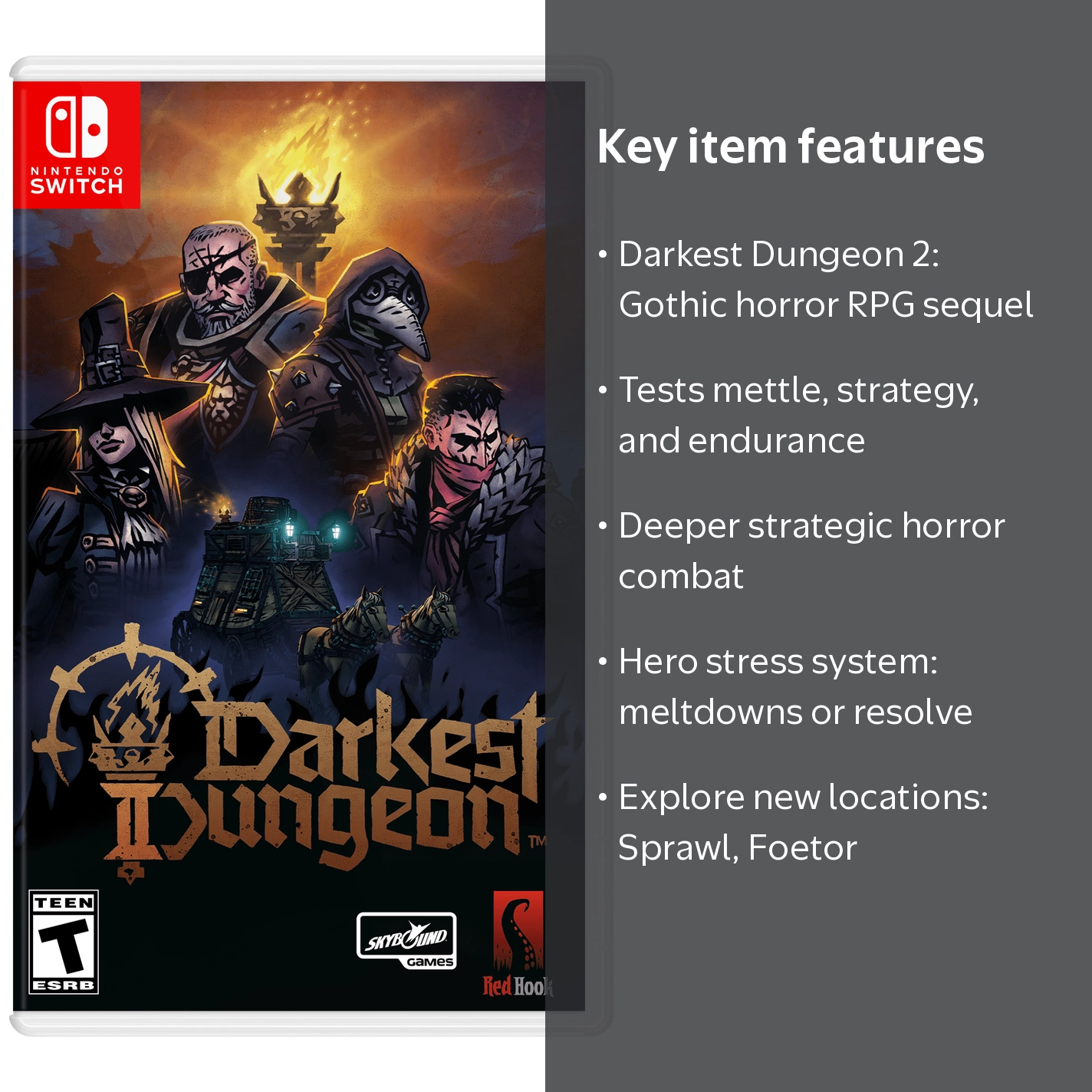 Darkest Dungeon 2 for Nintendo Switch - Walmart.com