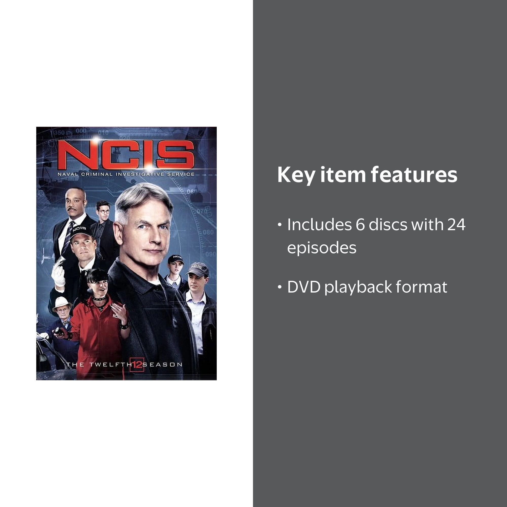 NCIS: Naval Criminal Investigative Service: The Twelfth Season