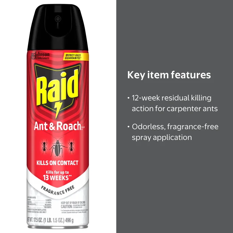 Raid Ant & Roach Killer 26, 17.5 oz Fragrance Free Bug Spray