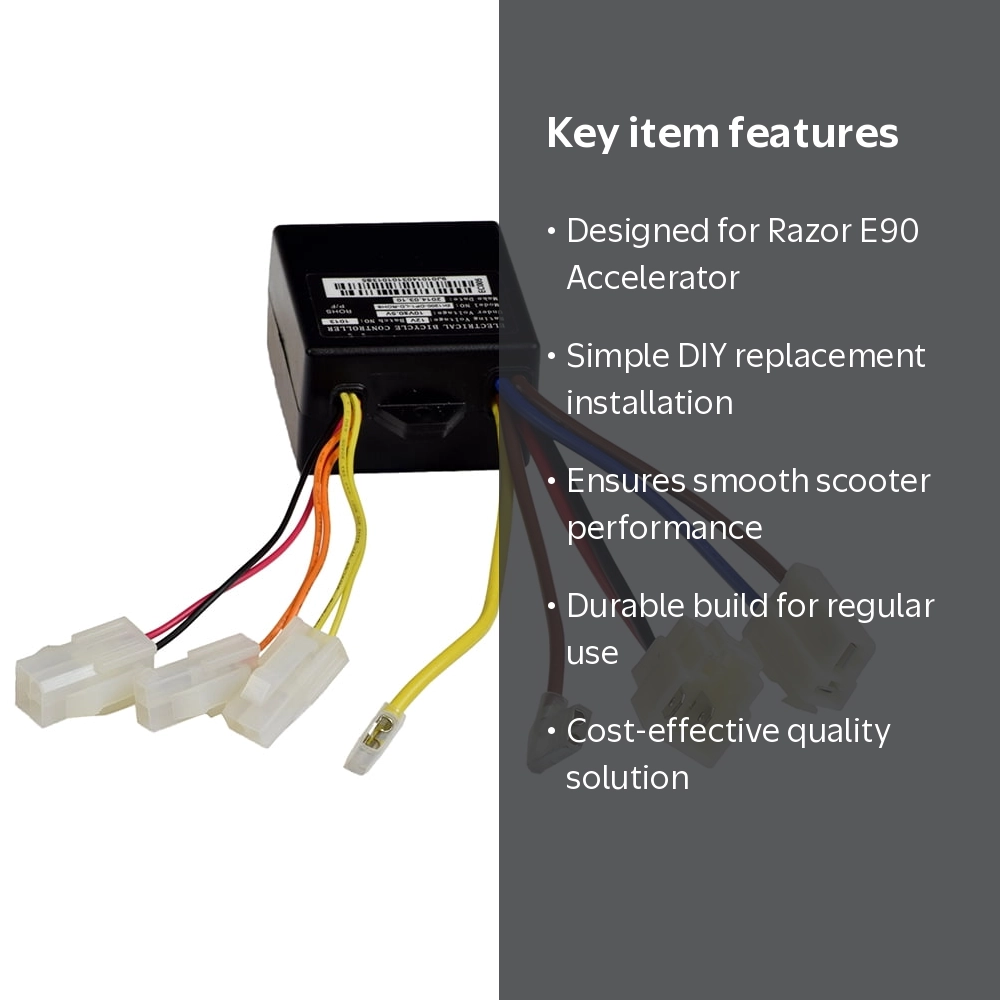 AlveyTech, Control Module, ZK1200-DP1-LD, for Razor E90