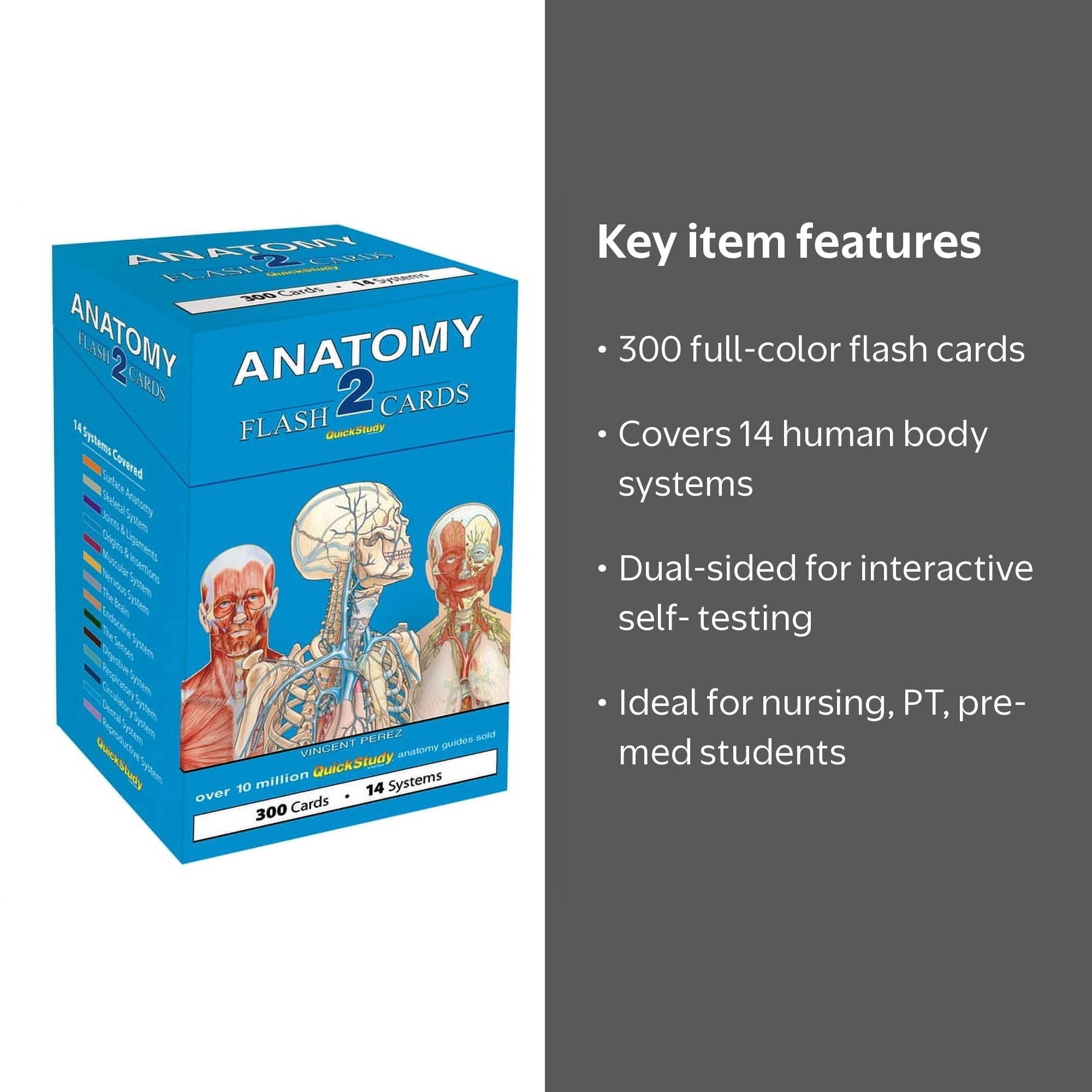 Anatomy 2 Flash Cards: A Quickstudy Reference Tool (Other