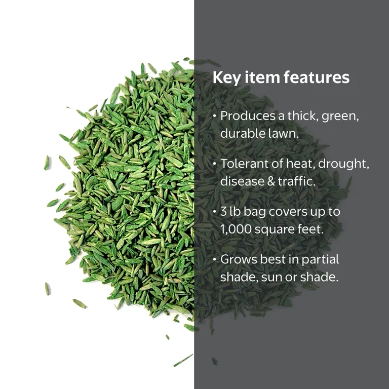 Expert Gardener Sun & Shade Grass Seed Mix 3 lb for Northern US