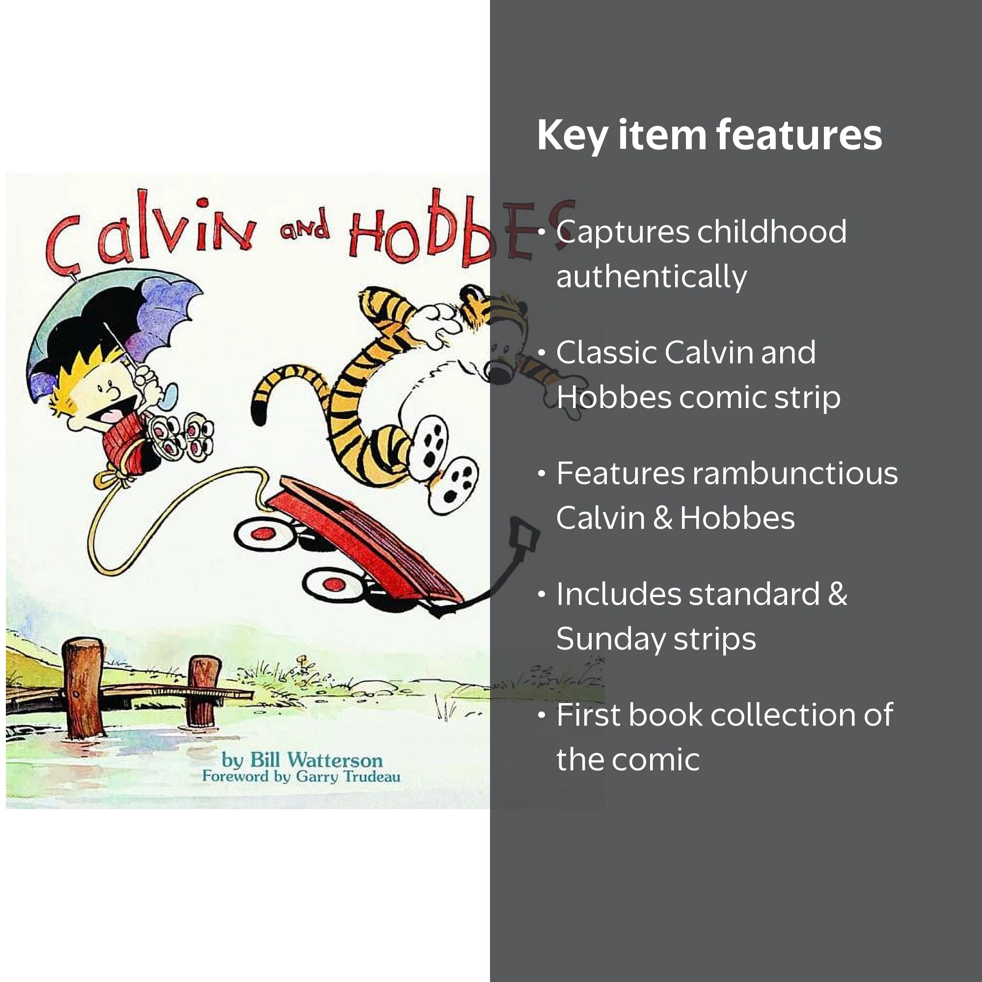Bill Watterson, Comic Book, Calvin and Hobbes, First Collection