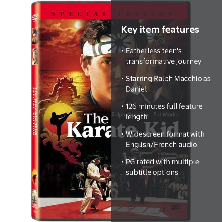 Sony Pictures Entertainment, DVD, The Karate Kid, Drama - Walmart.com