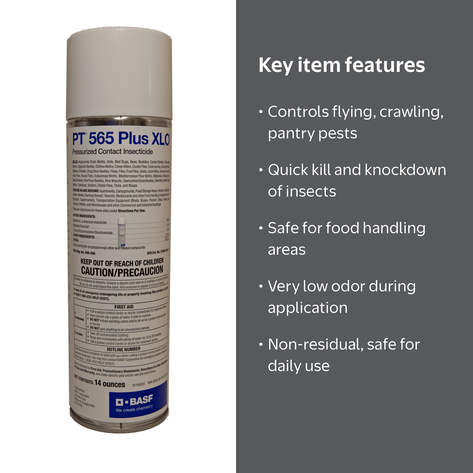 BASF PT 565 Plus XLO Pressurized Contact Insecticide, 14 oz Can