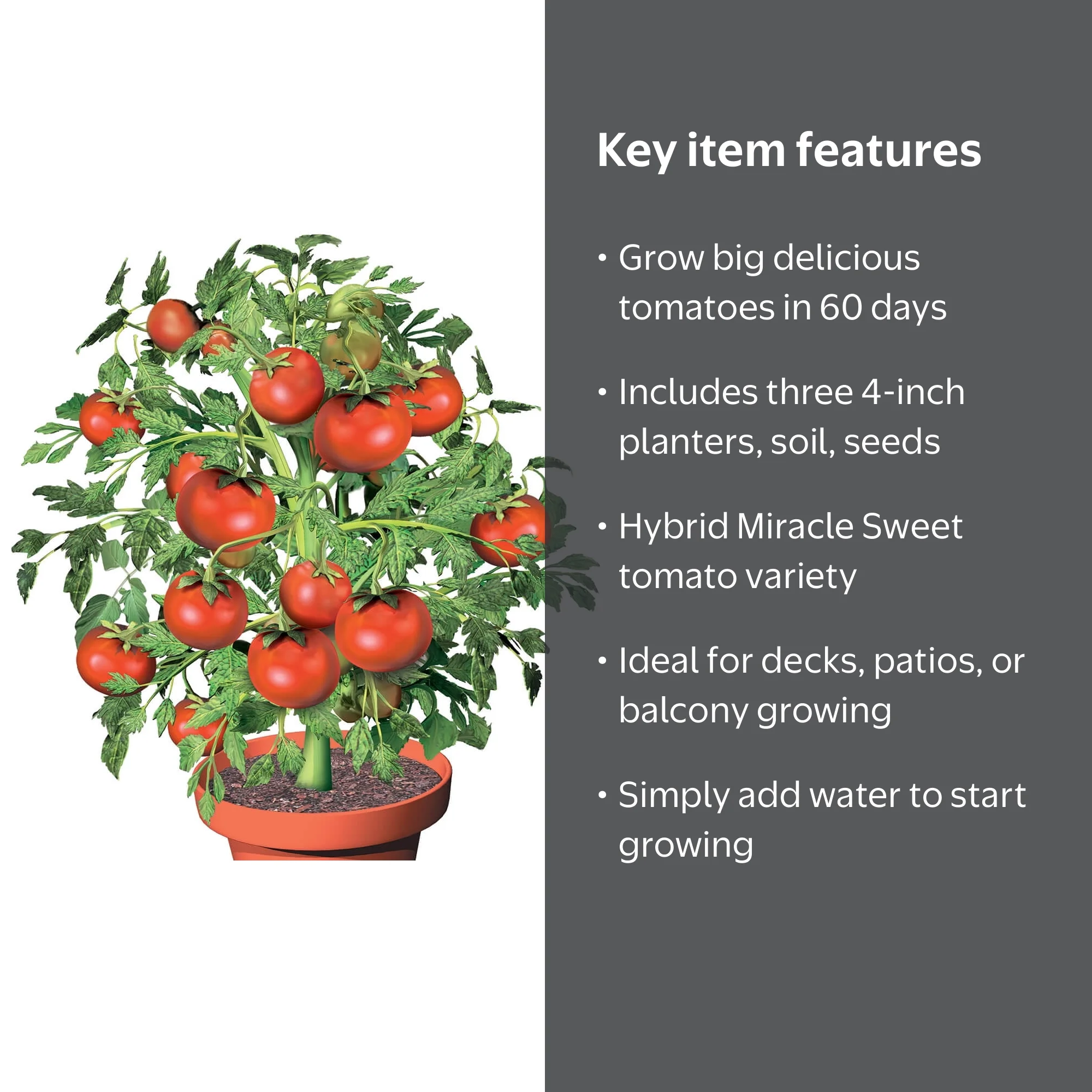 Tomato Seed Starter Kit - Set Includes Three 4” Planters, Soil and