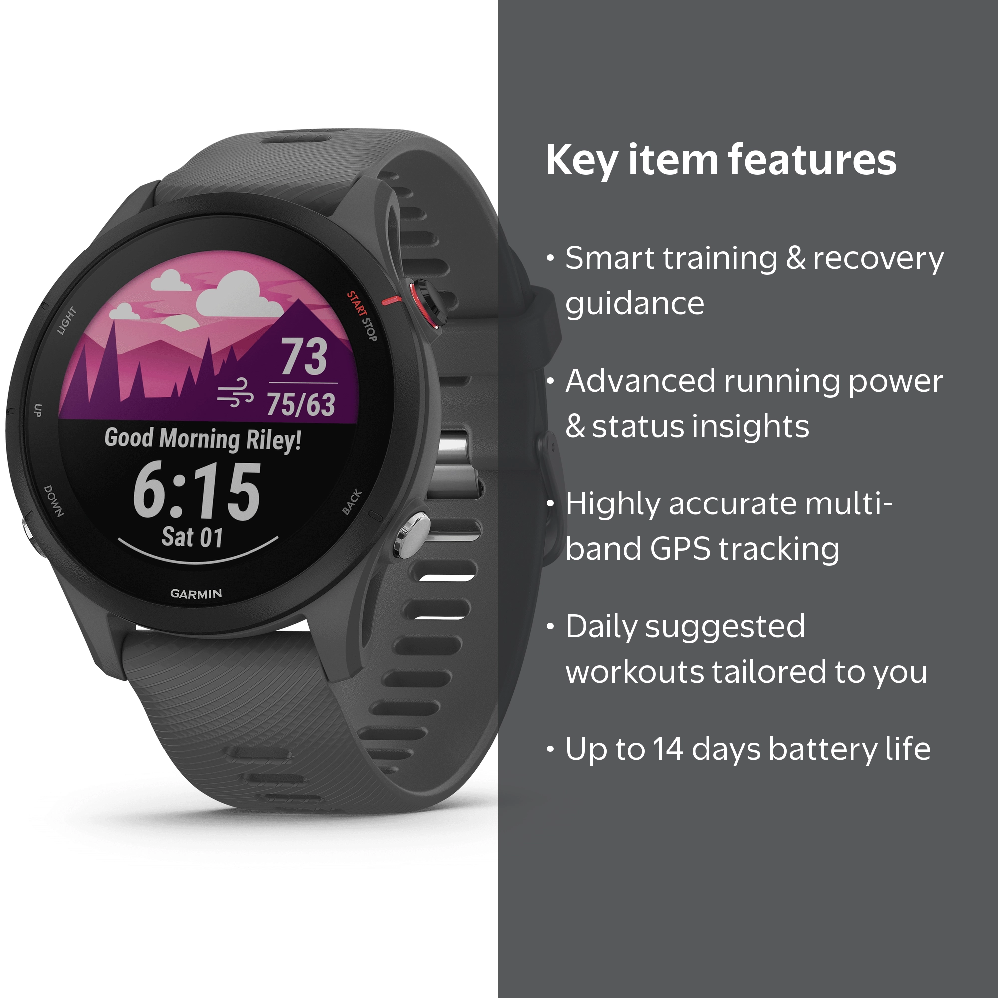 Forerunner 255 Gray | Health gadgets for retail - Walmart Business