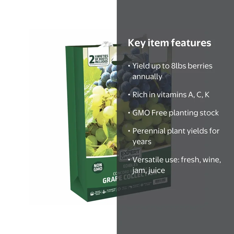 Expert Gardener Grape Collection (Set of 2 Dormant Bare Roots