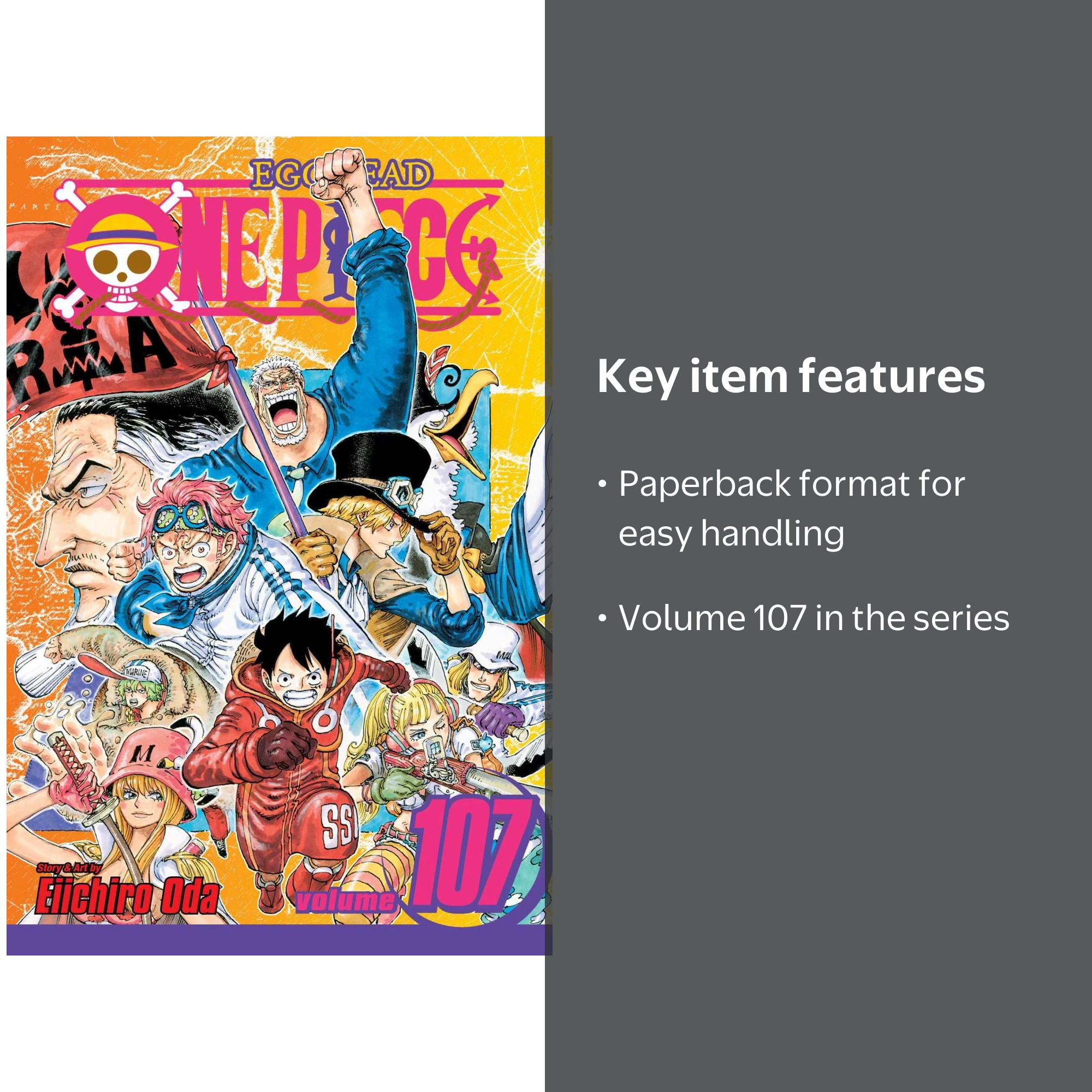 One Piece, Vol. 107 (Paperback) - Walmart.com