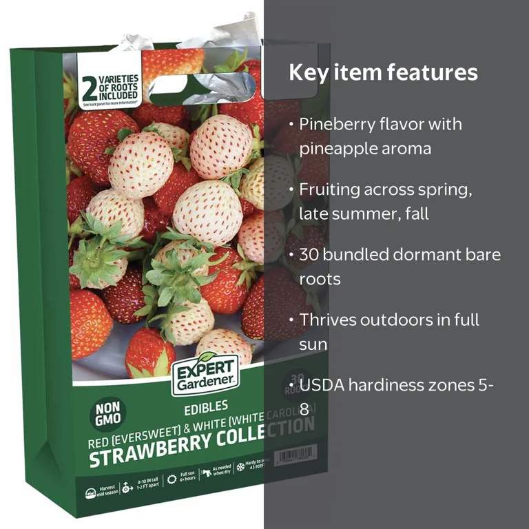Expert Gardener Strawberry Collection Plant Bulbs, 30 Bundled