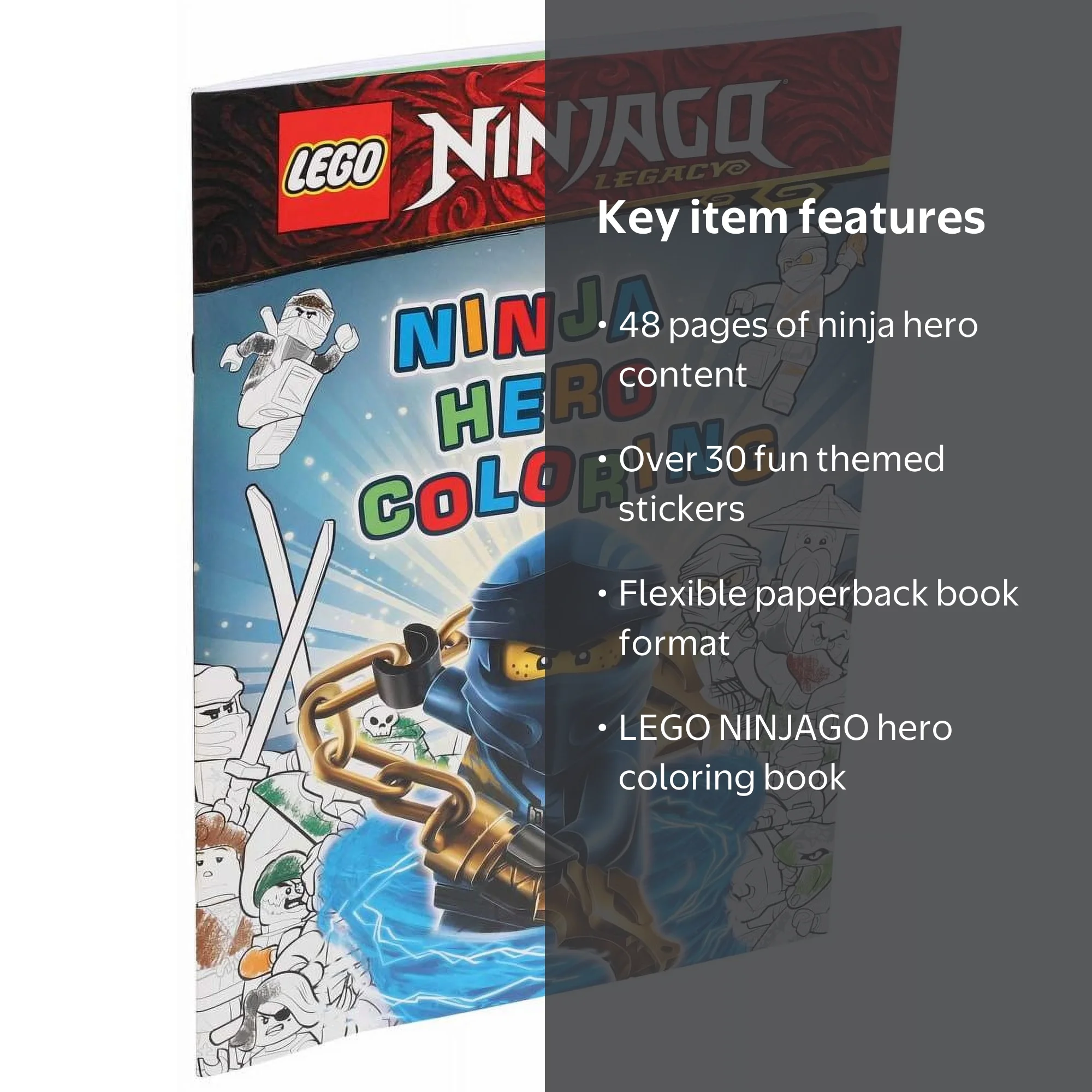 AMEET STUDIO STAFF: LEGO NINJAGO: Ninja Hero Coloring, 48 pages