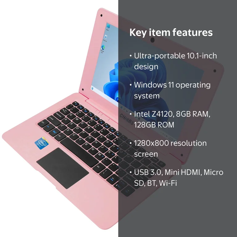 CHIBBS Portable 10.1