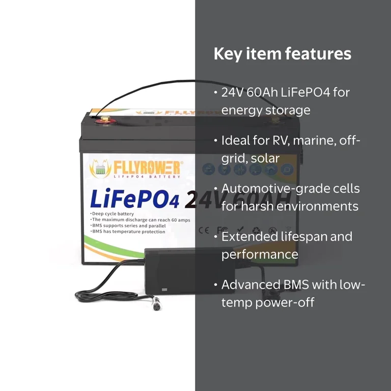 24V 60Ah LiFePO4 Battery with Charger,Lithium Batteries for RV